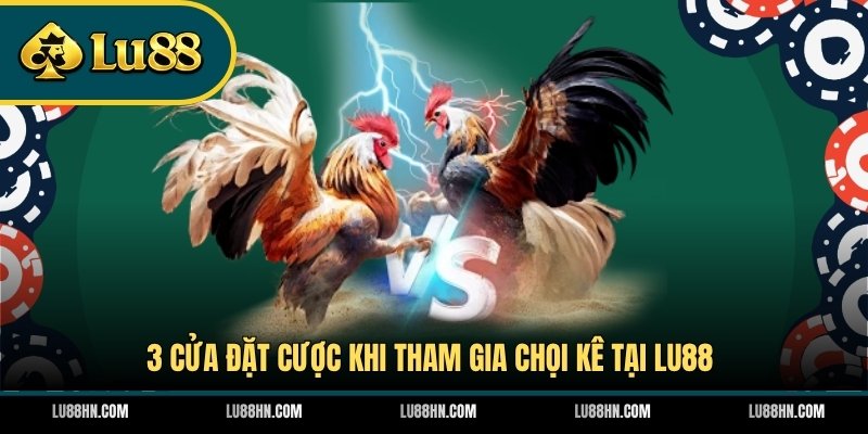 3 cửa đặt cược khi tham gia chọi kê tại LU88