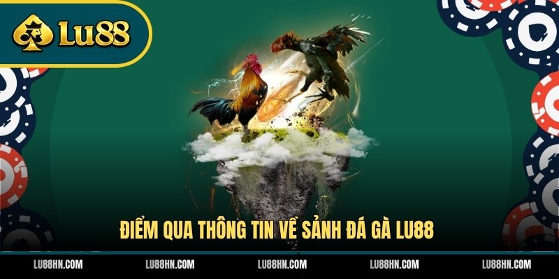 Điểm qua thông tin về sảnh đá gà LU88 