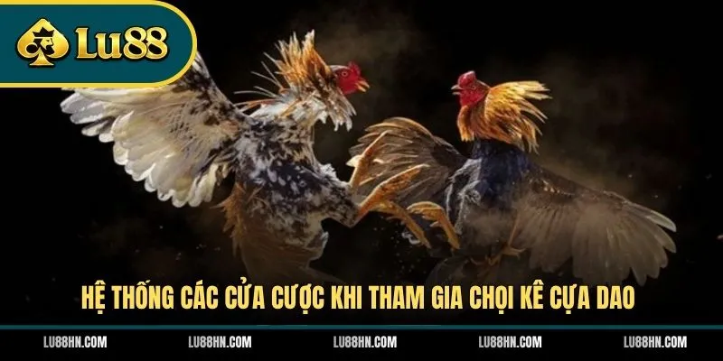 Hệ thống các cửa cược khi tham gia chọi kê cựa dao