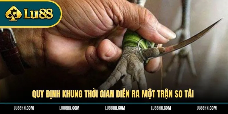Quy định khung thời gian diễn ra một trận so tài