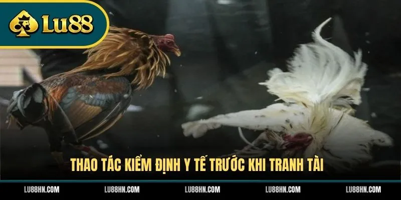 Thao tác kiểm định y tế trước khi tranh tài